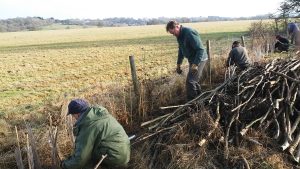 Volunteers planting a new hedgerow