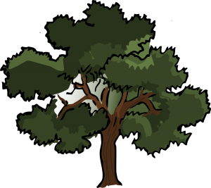 Tree Policy Icon