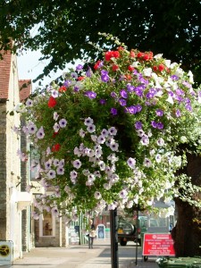 flower display