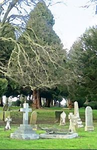 Image of Tower Hill Cemetery