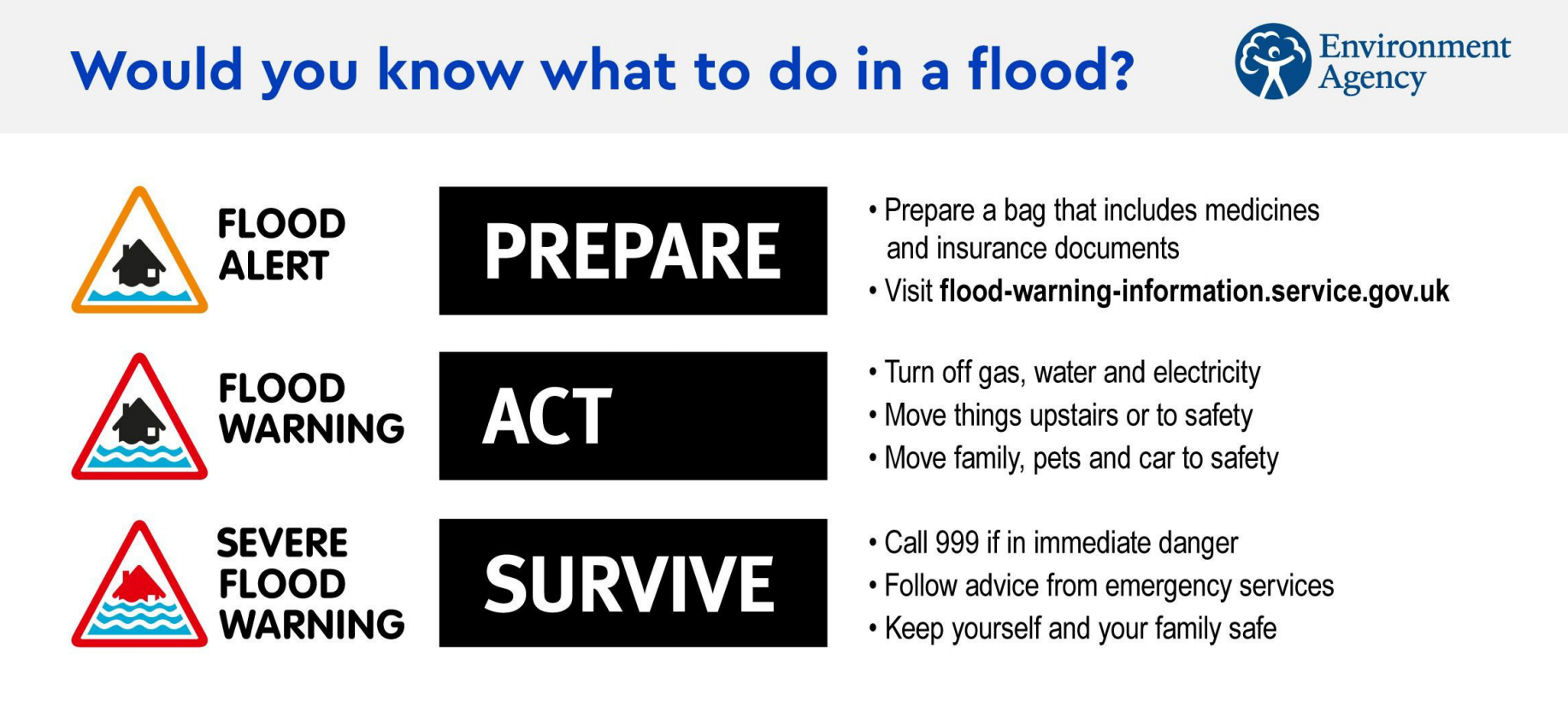 What to do in a flood poster