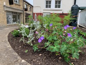 Witney Horticultural Society