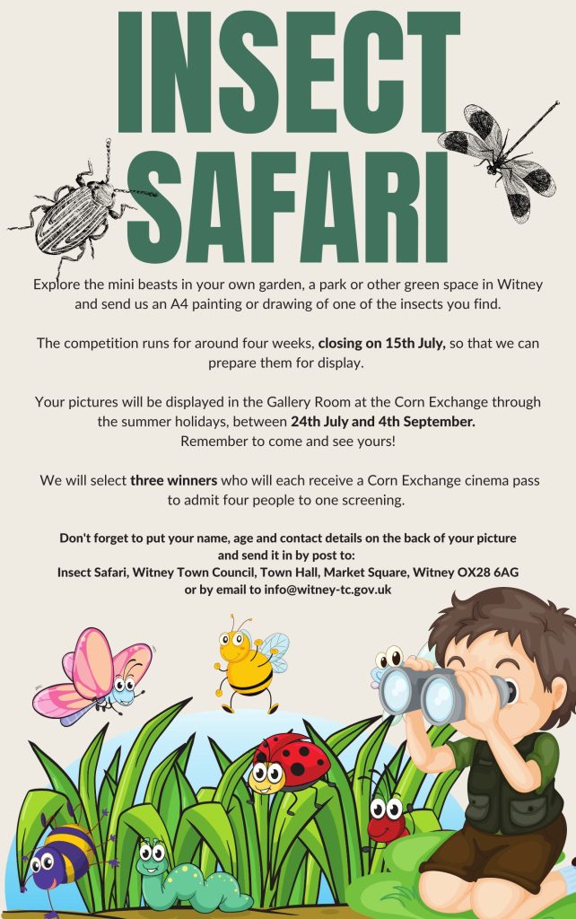 Clipsafari Insect Insect Safari Competition – Witney Town Council