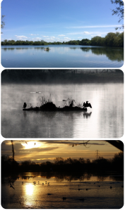 Images of the Lake and Country Park