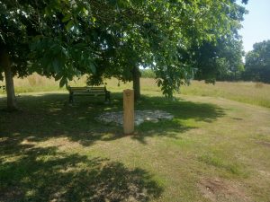 a bench and small pebble pond shaded by a tree