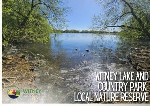 cover for portfolio showing lake and trees with water birds

