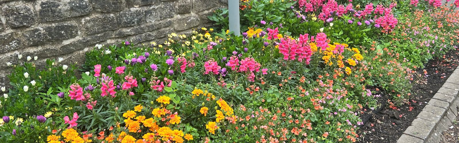 Flower bed at Langdale Hall