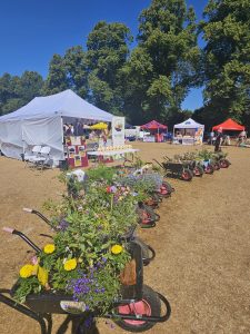 Wheelbarrows lined up for judging at Witney Carnival