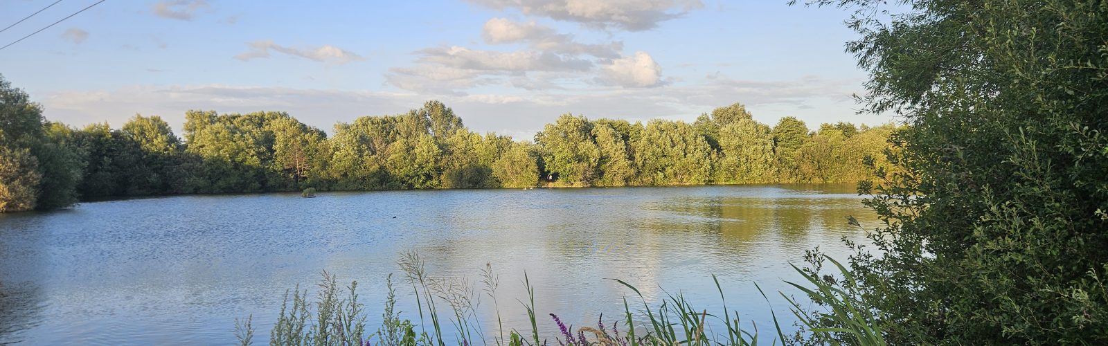 Landscape - Witney Lake and Country Park