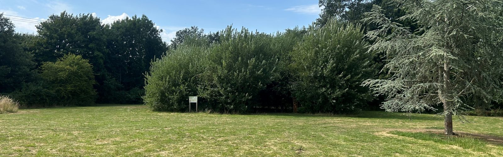 Tychwood- Tiny Forest