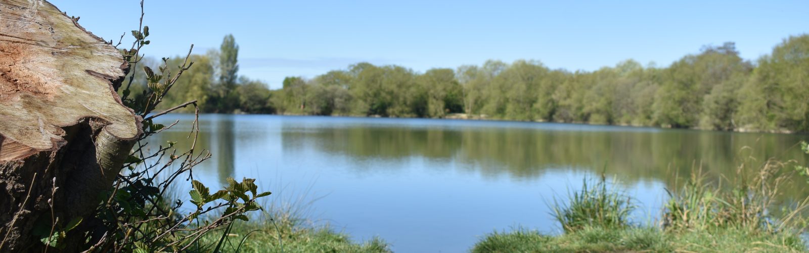 Witney Lake