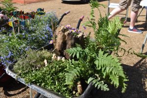 Mayors choice wheelbarrow