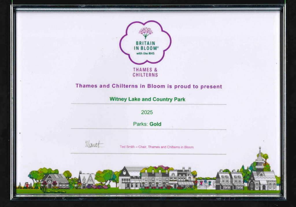 Gold Award for Witney Lake and Country Park