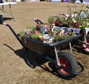 Most unusual wheelbarrow