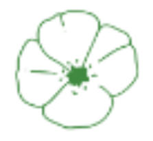 Remembrance Day icon